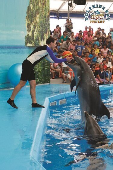 dolphinbaynemo6