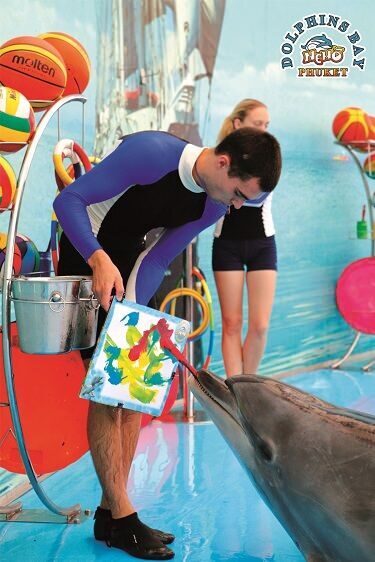dolphinbaynemo7
