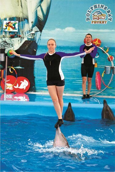 dolphinbaynemo8